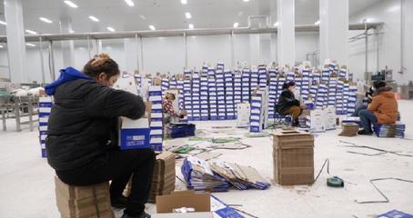 新疆鞏留縣 以龍頭企業為引擎，推進奶業全產業鏈穩步發展