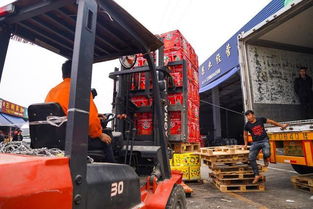 海峽兩岸攜手，滯銷水果變暢銷——物流城倉儲服務助力臺農(nóng)脫困